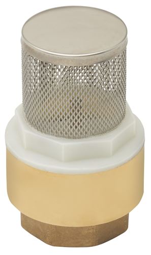 Lasco 06-5134 Foot Valve with Strainer, 1 in Connection, FIP, Brass Body