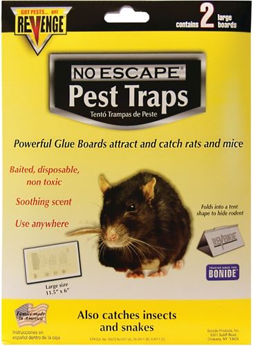 Bonide 47054 Pest Trap