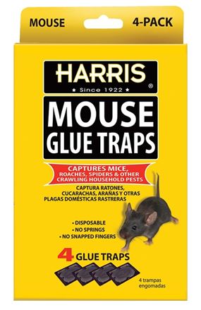 Harris HMG-4 Mouse Glue Trap