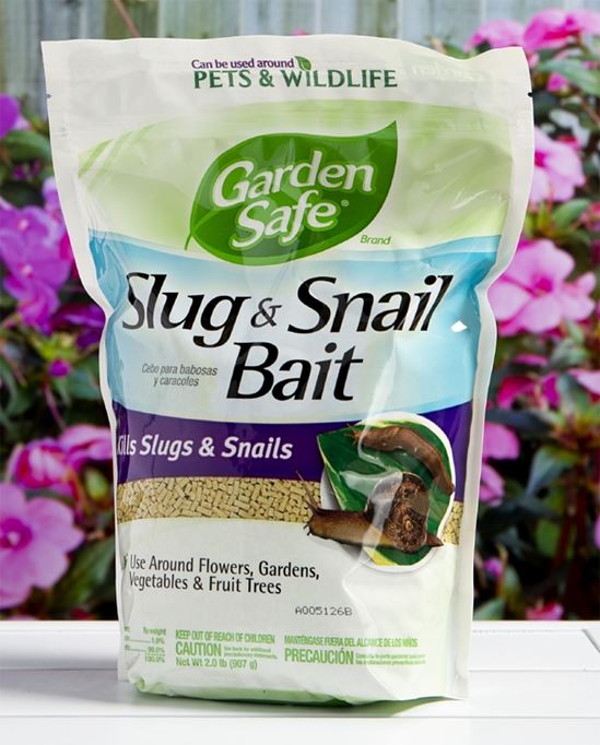 Garden Safe 4536 Slug and Snail Bait, Solid, 2 lb, Pack of 6 - VORG4271433