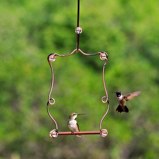 Perky-Pet 90 Hummingbird Swing, Beaded, Steel - VORG1226786