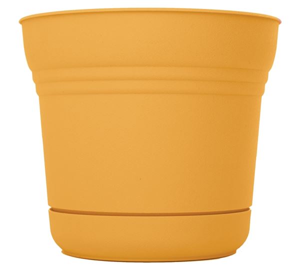 Bloem SP1423 Planter with Saucer, 12.8 in H, 14-1/2 in W, 14-1/2 in D, Round, Classic Textured Design, Plastic, Matte