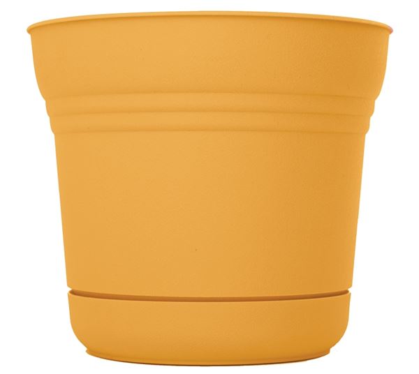 Bloem SP0523 Planter, 5 in Dia, 4-1/2 in H, 5 in W, Saturn Design, Earthy Yellow, Matte