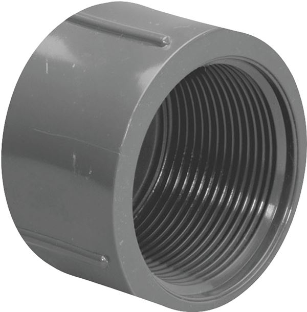 Lasco 848005BC Pipe Cap, 1/2 in, FIP, PVC, SCH 80 Schedule