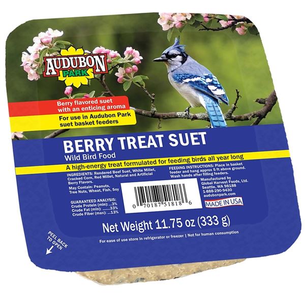 Audubon Park 13066 Berry Treat Suet 11.7 5oz, Pack of 12