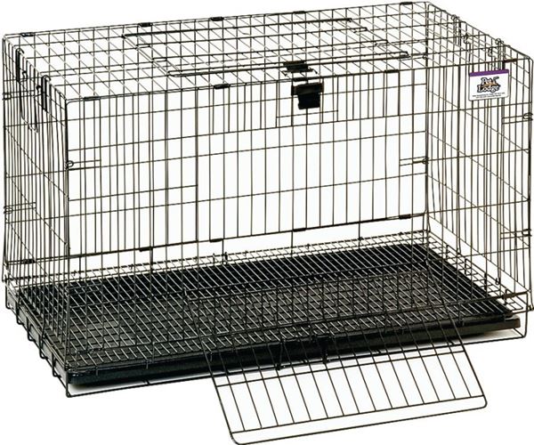 Pet Lodge 150910 Rabbit Cage, 17 in W, 31 in D, 20 in H, Metal/Plastic