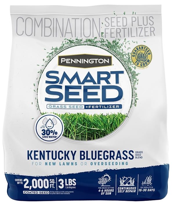 SEED KENTUCKY BLUEGRS BLND 3LB